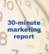 Request a FREE 30-minute marketing report from the UK Internet marketing consultants, The Web Marketing Workshop
